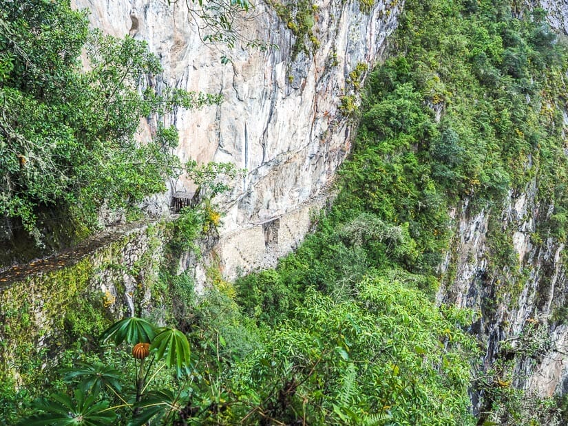 An expansive view of the Inca Bridge and cliff faces around it