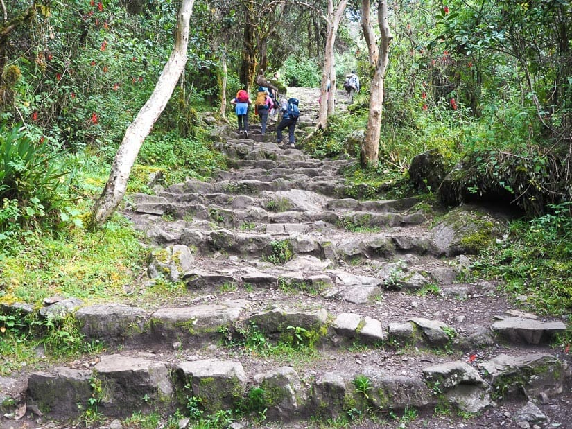 A stone staircase on Day 2 of the Inca Trail with some trekkers hiking up it.