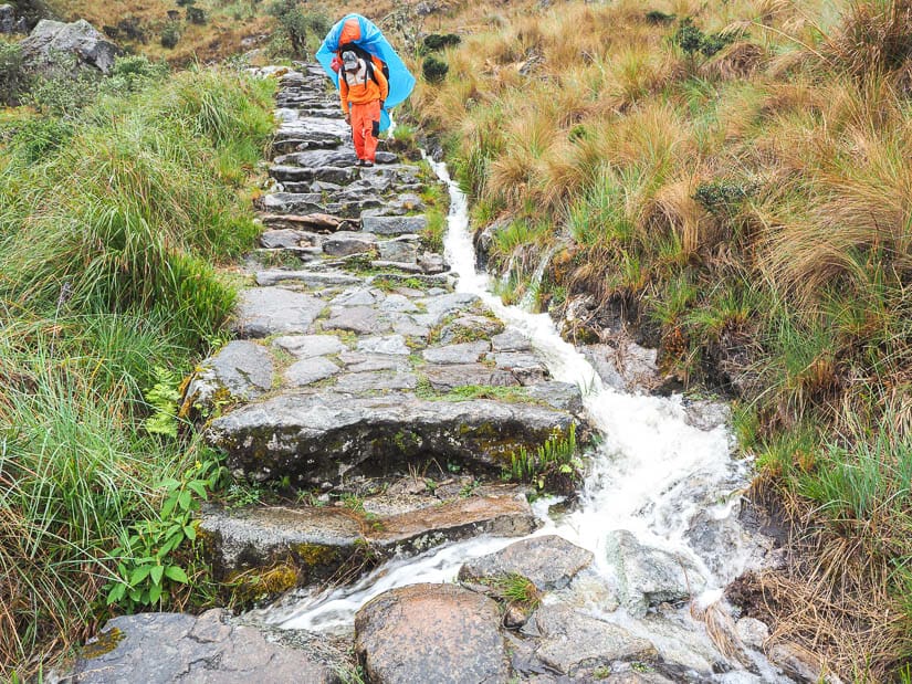A porter in orange wearing blue rain poncho, hiking down stone stairs on Inca trail in the rain