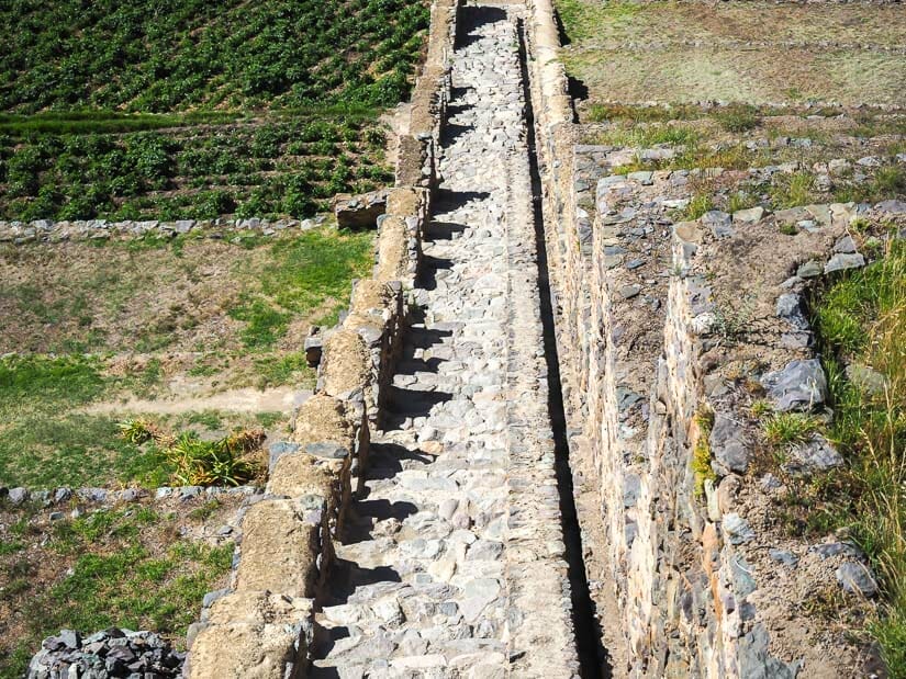 Looking down a long stone staircase, with agricultural terraces on either side of it.