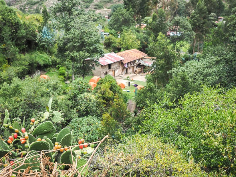 Some orange tents and houses in Wayllabamba, a town and campground on the Inca Trail, surrounded by greenery
