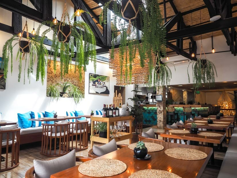 An empty dining room with plants hanging from ceiling