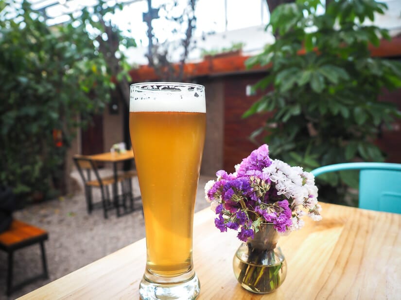 A glass of beer and flowers on a table in Green Point vegetarian restaurant