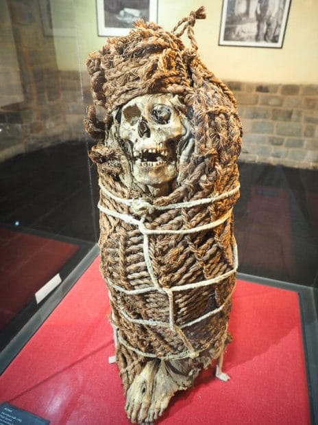 An Inca mummy in a museum, crouched down and wrapped in ropes, on a red display