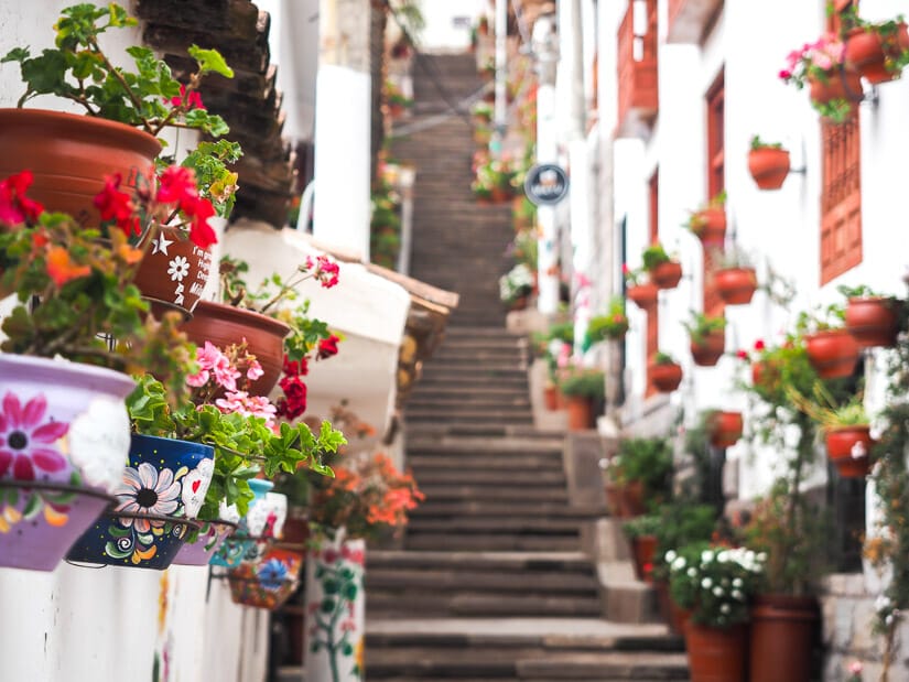 A staircase with flower pots hanging on either side
