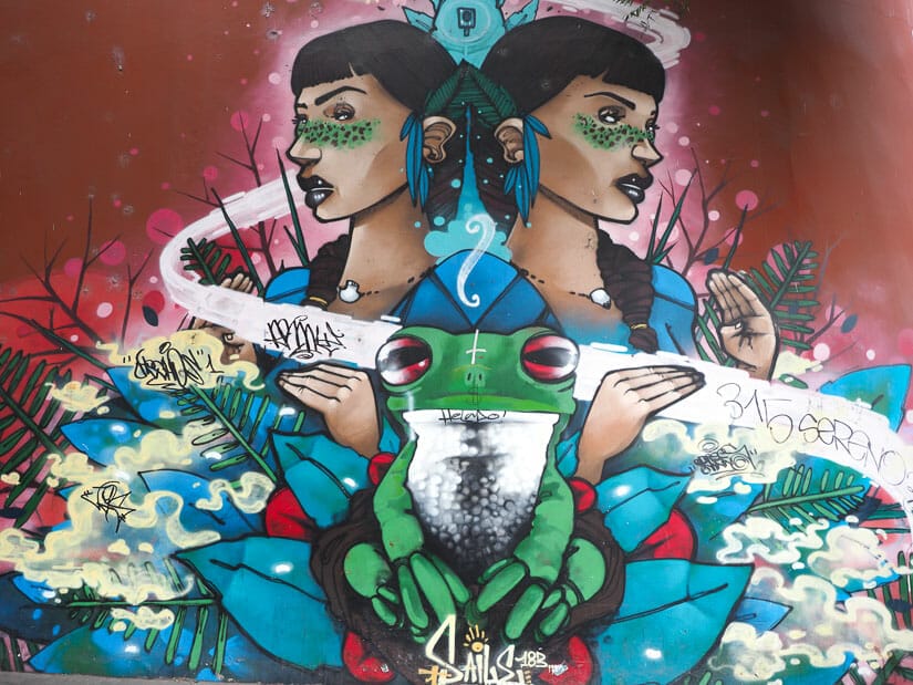 A large mural with a frog and two indigenous women