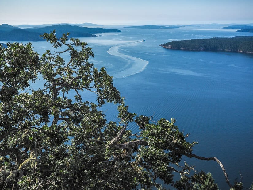 A ferry passes between some islands in the distance, with trees in the foreground