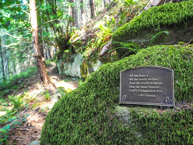 A religious quote on a sign on a rock covered in green moss, with forest in the background