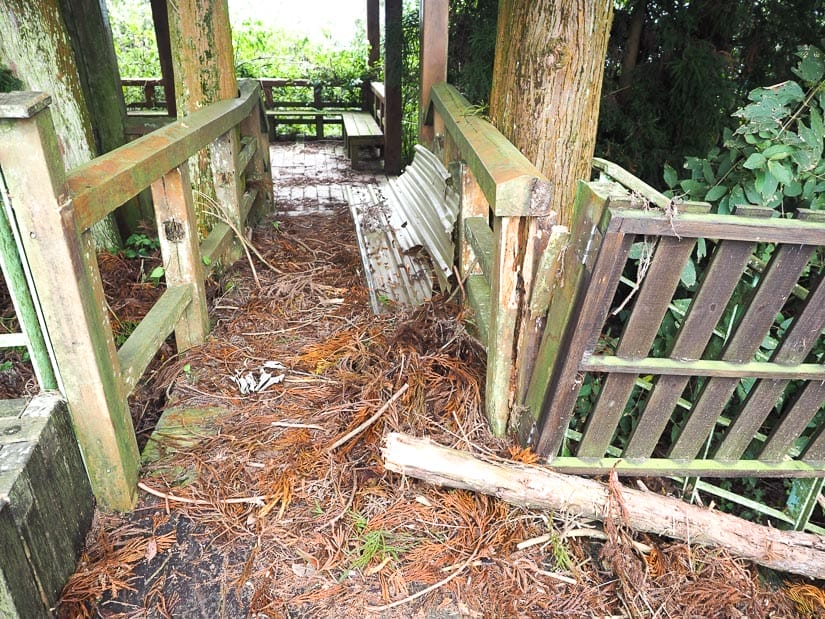 A wooden lookout platform that has broken chunks falling off the sides, dead fallen branches, and lots of pine needles covering it