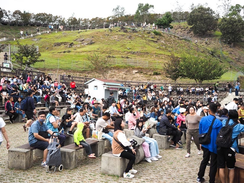 A crowd of people sitting on outdoor benches, with a green hill with grass and rocks behind them