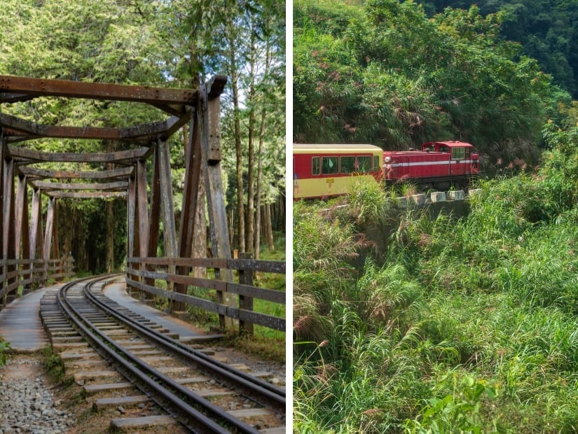 Two side by side images. The left side is looking up a railway line as it crosses a wooden bridge. The right side is the front two cars of a red and yellow Alishan Forest Railway as it travels through a forest