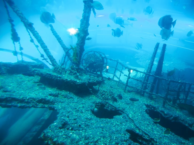 A sunken ship with fish swimming around it