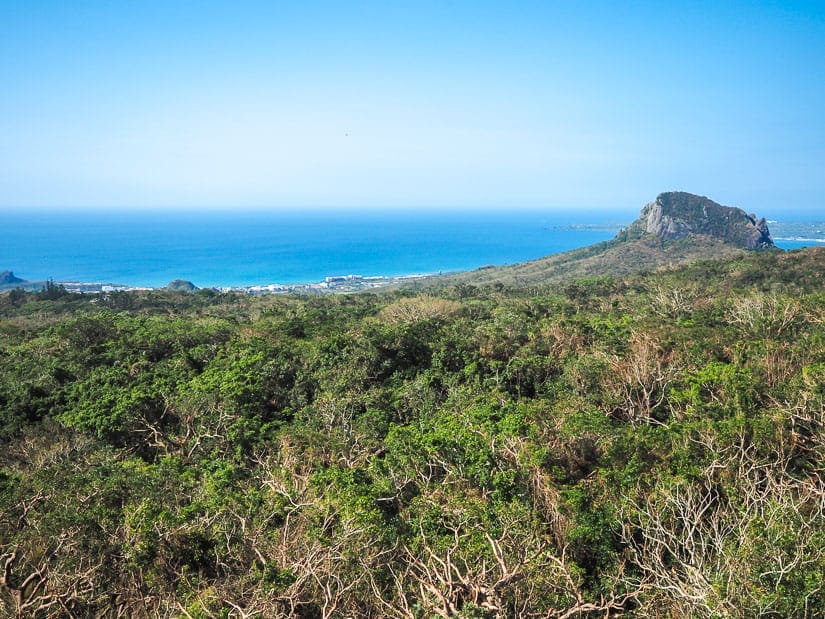 Looking down on a jungle, with the sea in the background and a coastal mountain on the right