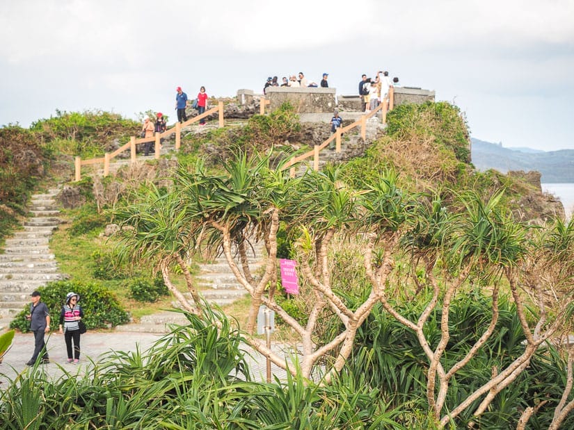 A coastal lookout point with two staircases going up it, vegetation on it, and around a dozen people on it enjoying the view