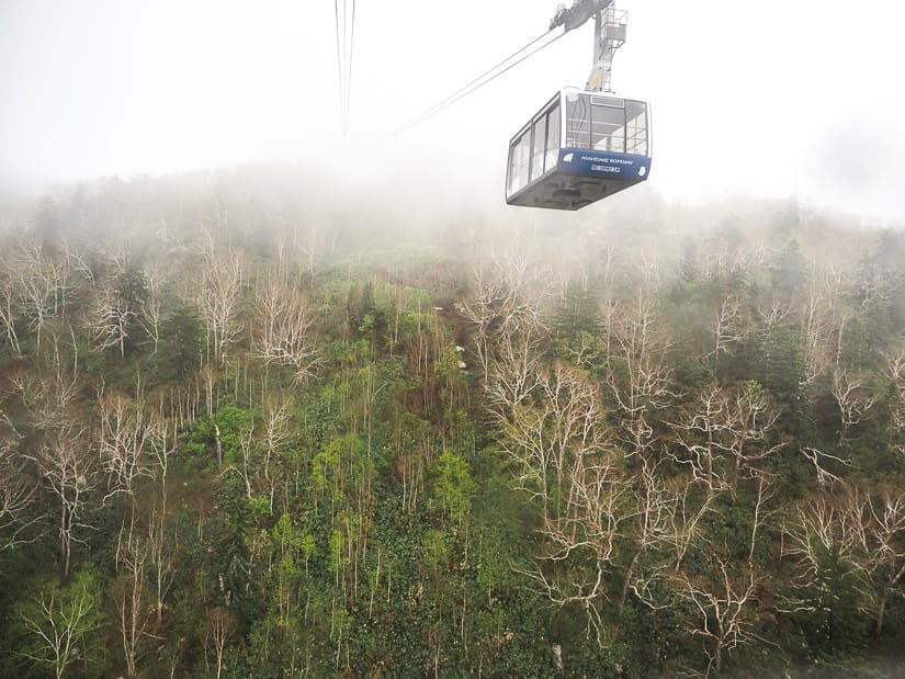 A large gondola car descending a misty, forest mountain