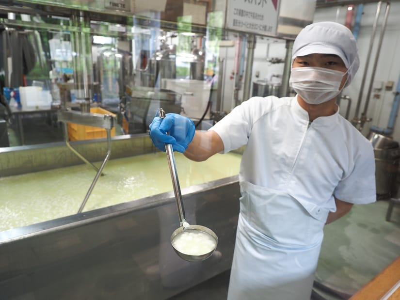 A Japanese worker in a cheese factory wearing white scrubs, mask, and hat, holding up a ladle of cheese curds for the camera, with a huge metal vat of more curds and other cheese making equipment behind him