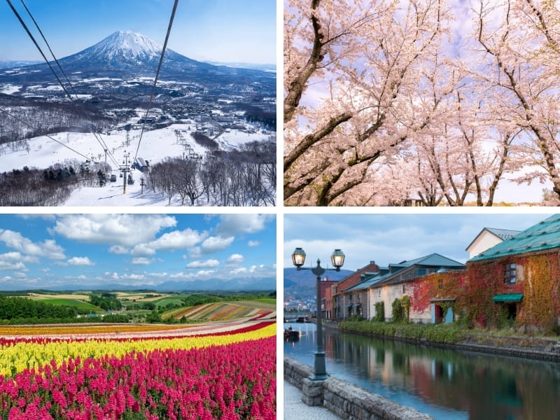 Four images showing the four different seasons in Hokkaido: ski hill at top left, cherry blossoms at top right, fields of different colored flowers on bottom left, and a canal with fall foliage on the buildings on the side on the bottom right