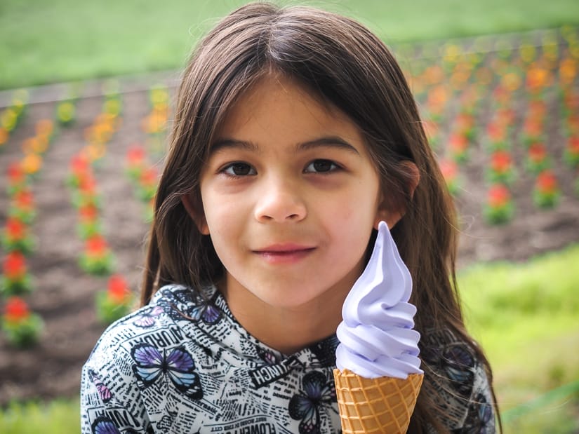 A young girl holding up a purple lavender soft serve ice cream with a field of flowers behind her