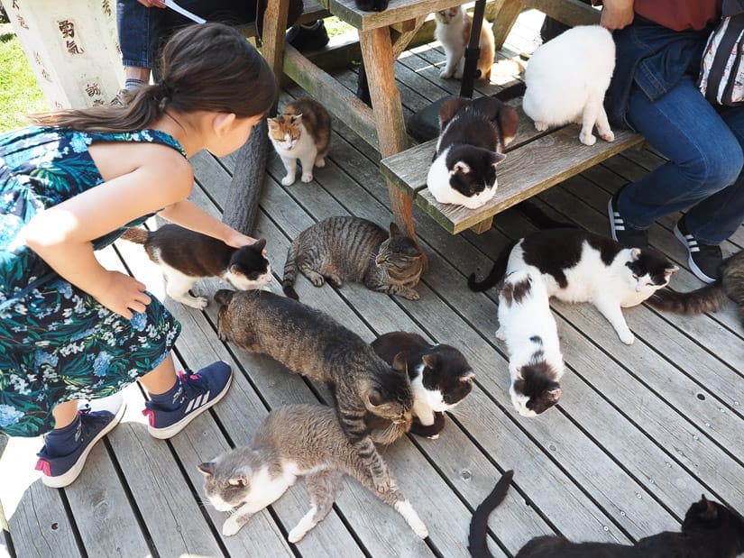 Many cats under a picnic table and umbrella, with a young girl squatting down to pet one