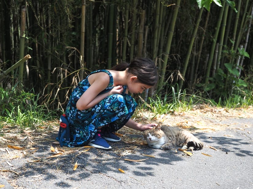 A girl kneeling down to pet a cat that's lying on the road in the shade of a bamboo forest behind it