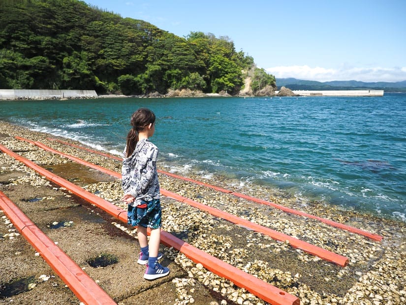 A young girl shot from behind as she stands between long red boards on a rocky beach looking out at the bay