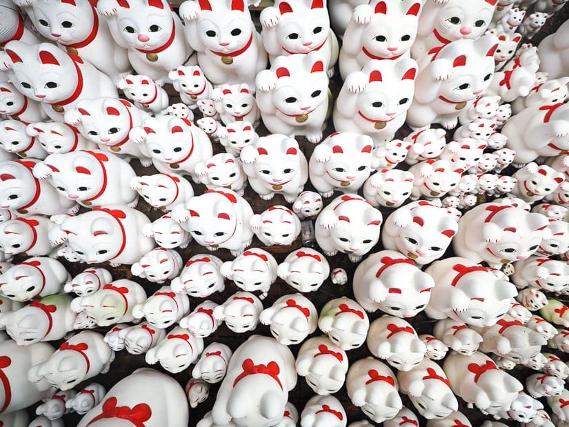 Looking straight down at a collection of white and red cat statues.