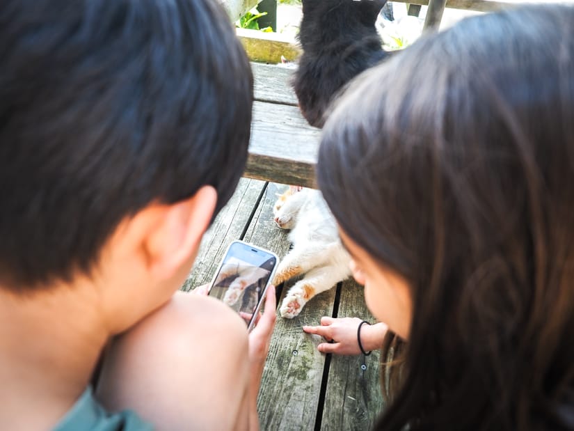 A young boy and girl's heads shot from behind, and between them we can see the boy is using a cell phone to take a close-up phot of the bottom of a cat's paw