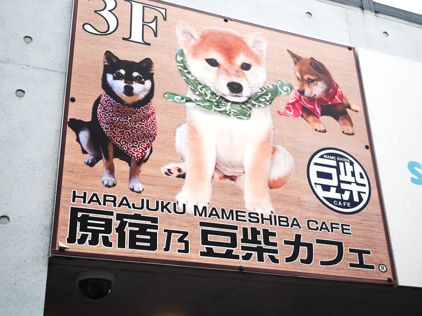 A large sign on a wall for a Shiba Inu cake in Harajuku, with pictures of cute shibas, 3F, and the cafe name