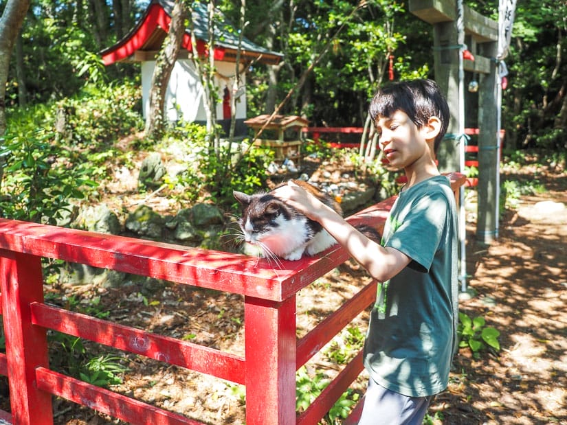 A young boy petting a cat on the red fence of a small forest shrine