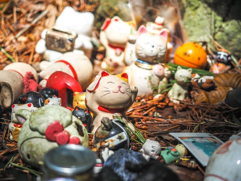 A pile of cat-themed figurines on a shrine
