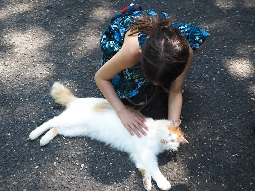 A girl leaning down and petting a white and orange cat that's stretched out on the street