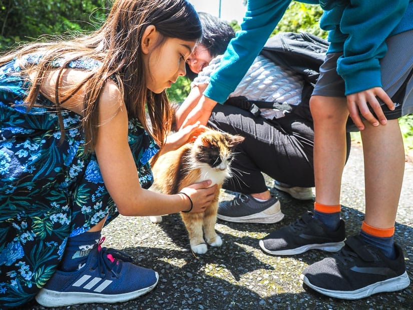 A family kneeling down to pet a cat