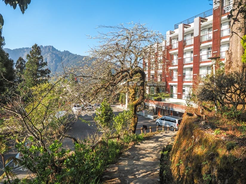 A trail leading past a cherry blossom tree to a large hotel, with mountain and blue sky beyond