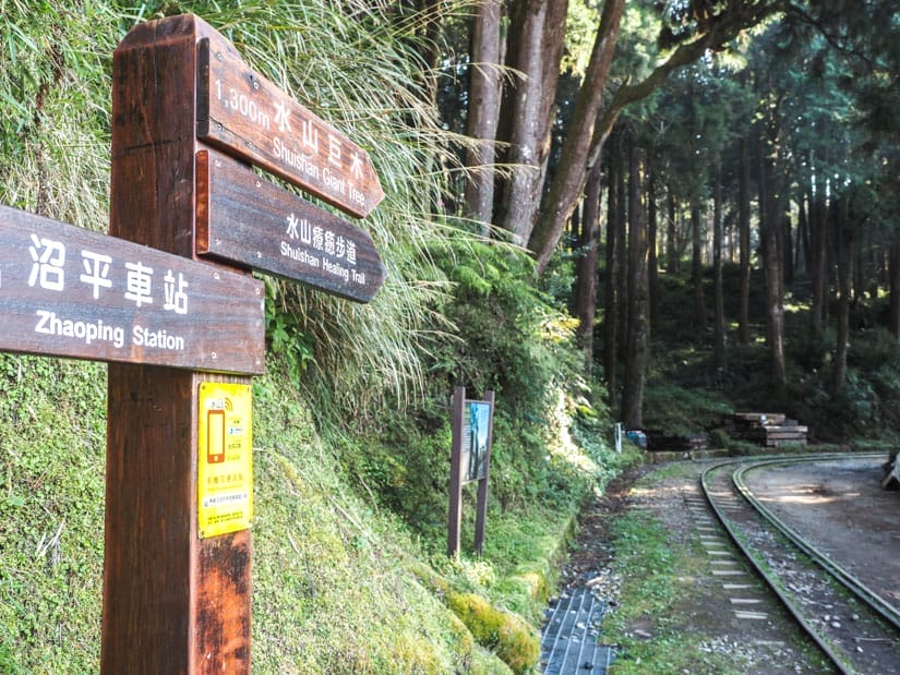A wooden signpost points the way to Shuishan Trail, with a railway line heading into the forest