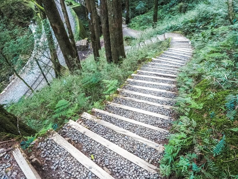 A set of stairs on a hiking trail in the forest with railway line visible between the trees below