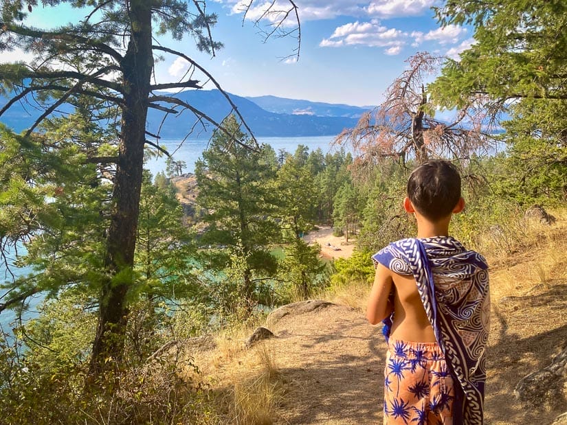 A young boy in bathing suit shot from behind with a path down through the forest to a beautiful lake and beach in front of him