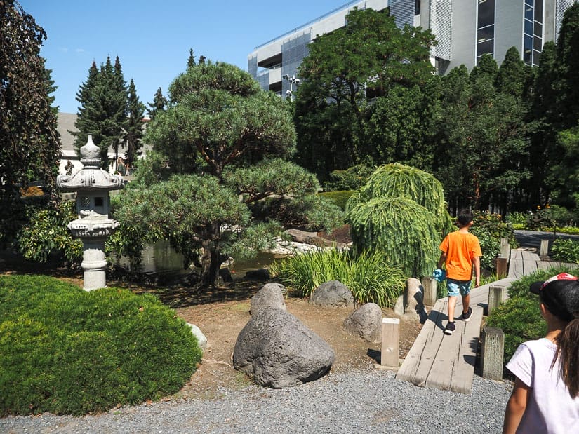 Two kids shot from behind as they walk around in a Japanese style garden with bonzai trees and small bridge
