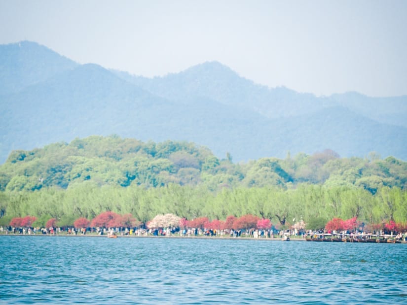 Looking across a lake at a causeway lined with pink cherry blossoms and mountains beyond