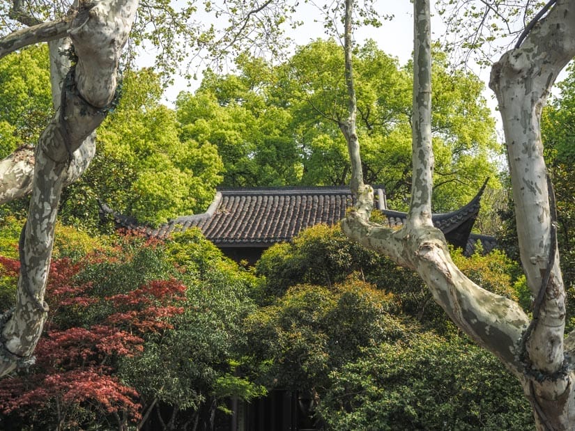 The roof of a temple surrounded by trees on all sides
