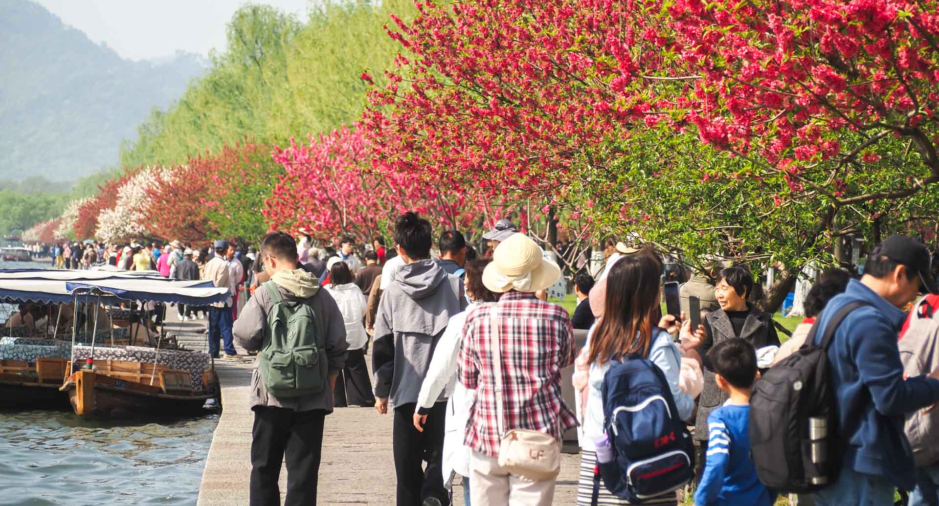 A sea of people walking below cherry blossoms beside West Lake in Hangzhou
