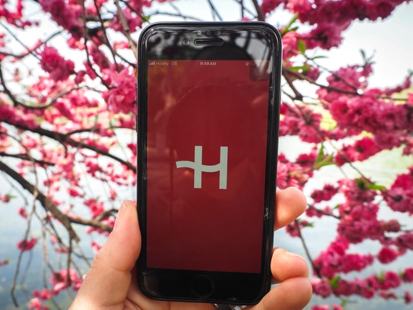 A hand holding up a cell phone with a pink screen with Holafly's H logo, with pink cherry blossoms and a lake behind