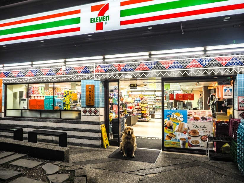 A dog standing in the open entrance to a 7-Eleven in Alishan at night