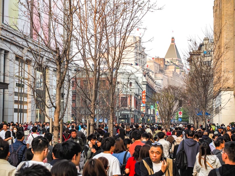 Crowds of people with trees and historic buildings behind