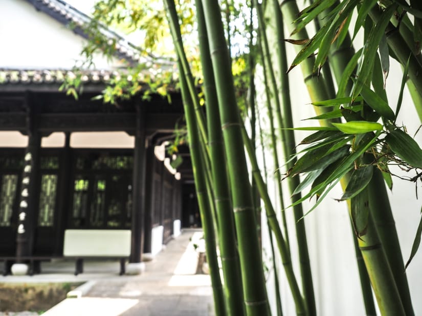 Bamboo stalks on the right and a black temple on the left