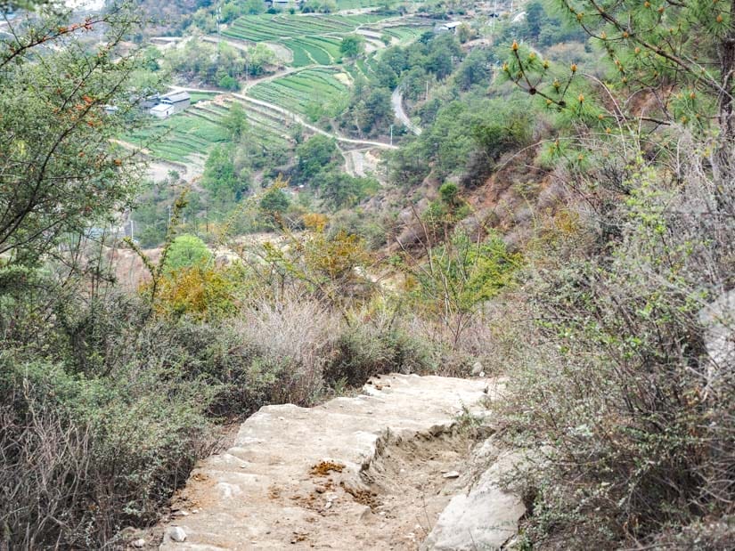 Looking down a steep staircase with terraced fields below