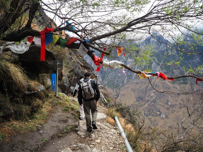 A hiker walking under a tree branch with some prayer flags on it