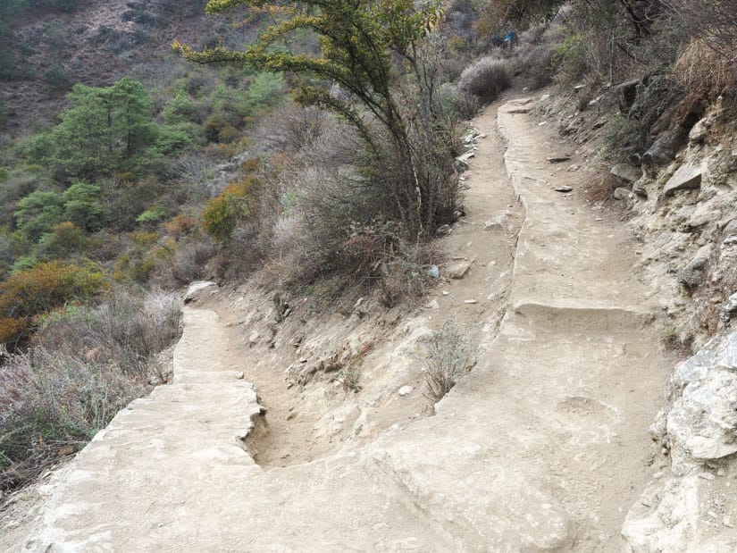 A sharp turn in a hiking trail