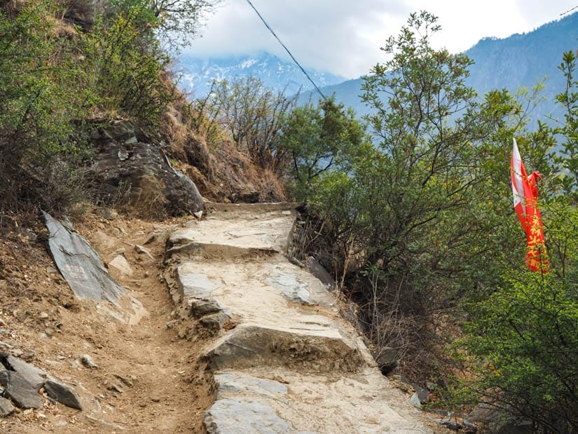 A narrow hiking trail between bushes